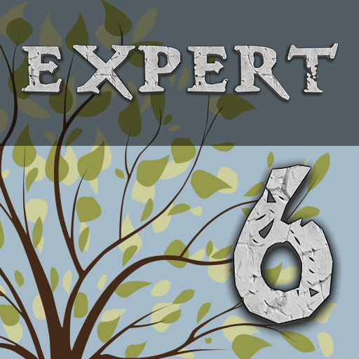 Enigmatica 6 Expert